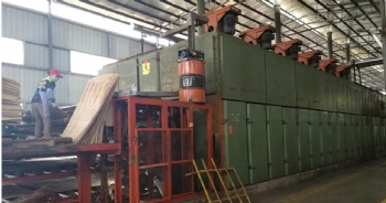 Roller wood veneer dryer line