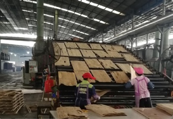 Roller wood veneer dryer line