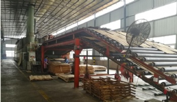 Roller wood veneer dryer line