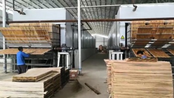 30m vertical veneer dryer