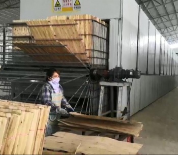 30m vertical veneer dryer